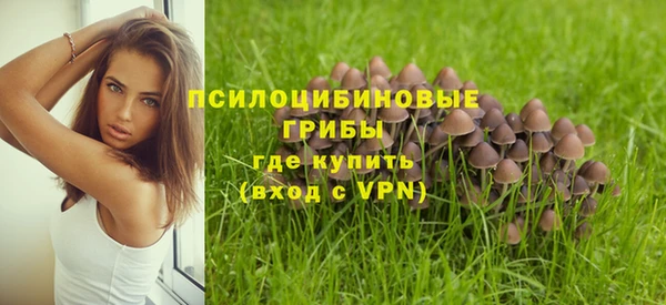метадон Карпинск
