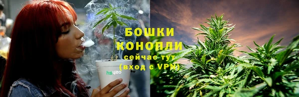 мяу мяу мука Касимов